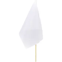 Champion Small Hand Flag - 30cm x 20cm Blank